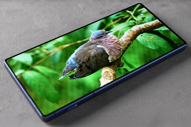 Большой AMOLED-дисплей с высокой яркостью отлично подходит для просмотра фильмов и другого контента. Источник: PhoneBuff / Youtube