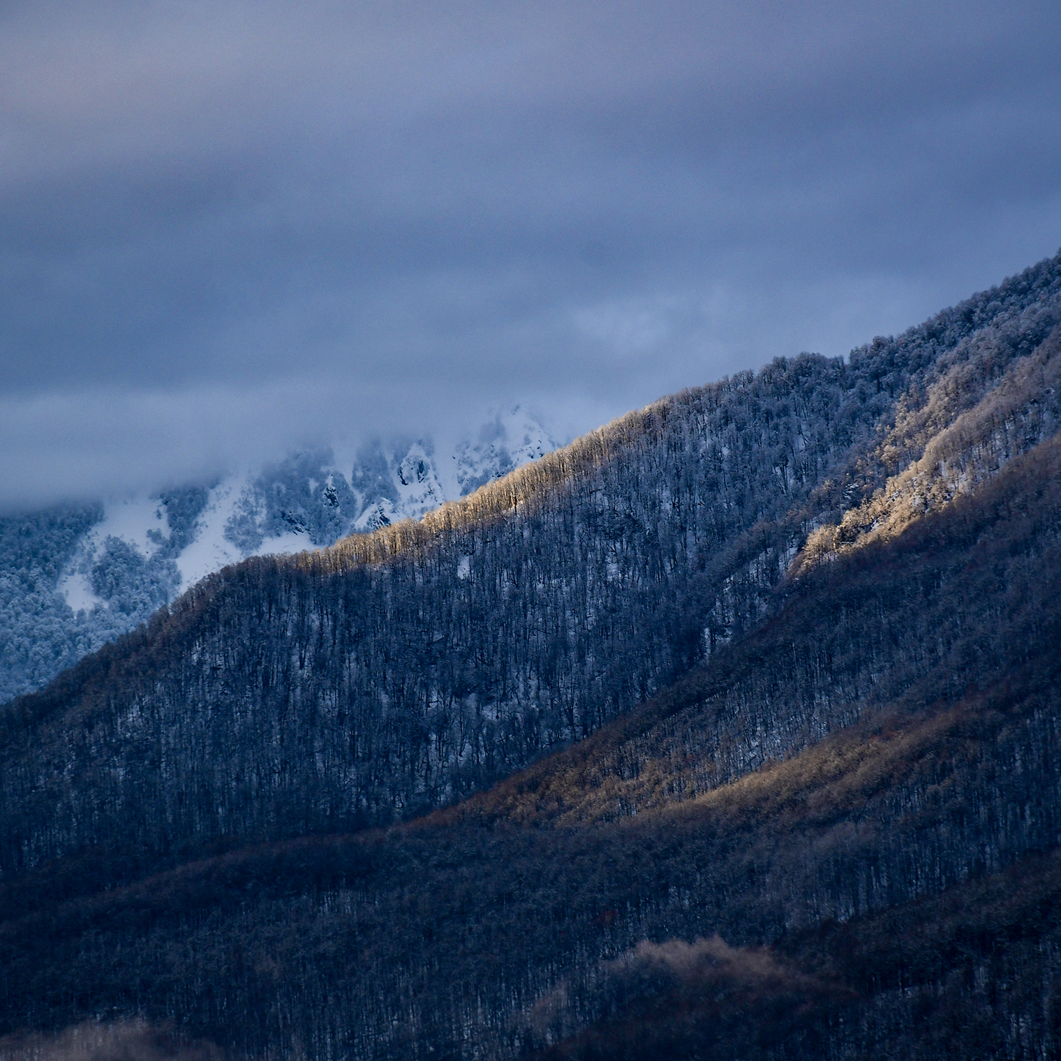 Оцените контраст света и тени на горном склоне
