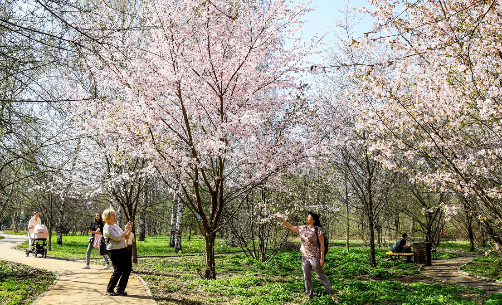 Долина реки Сетунь