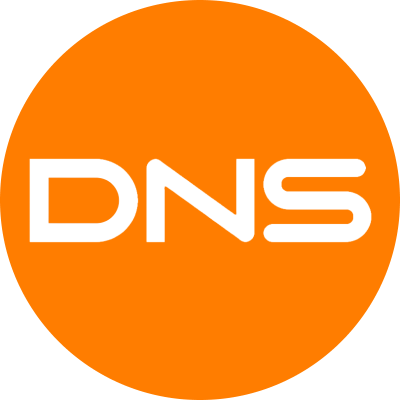 логотип DNS