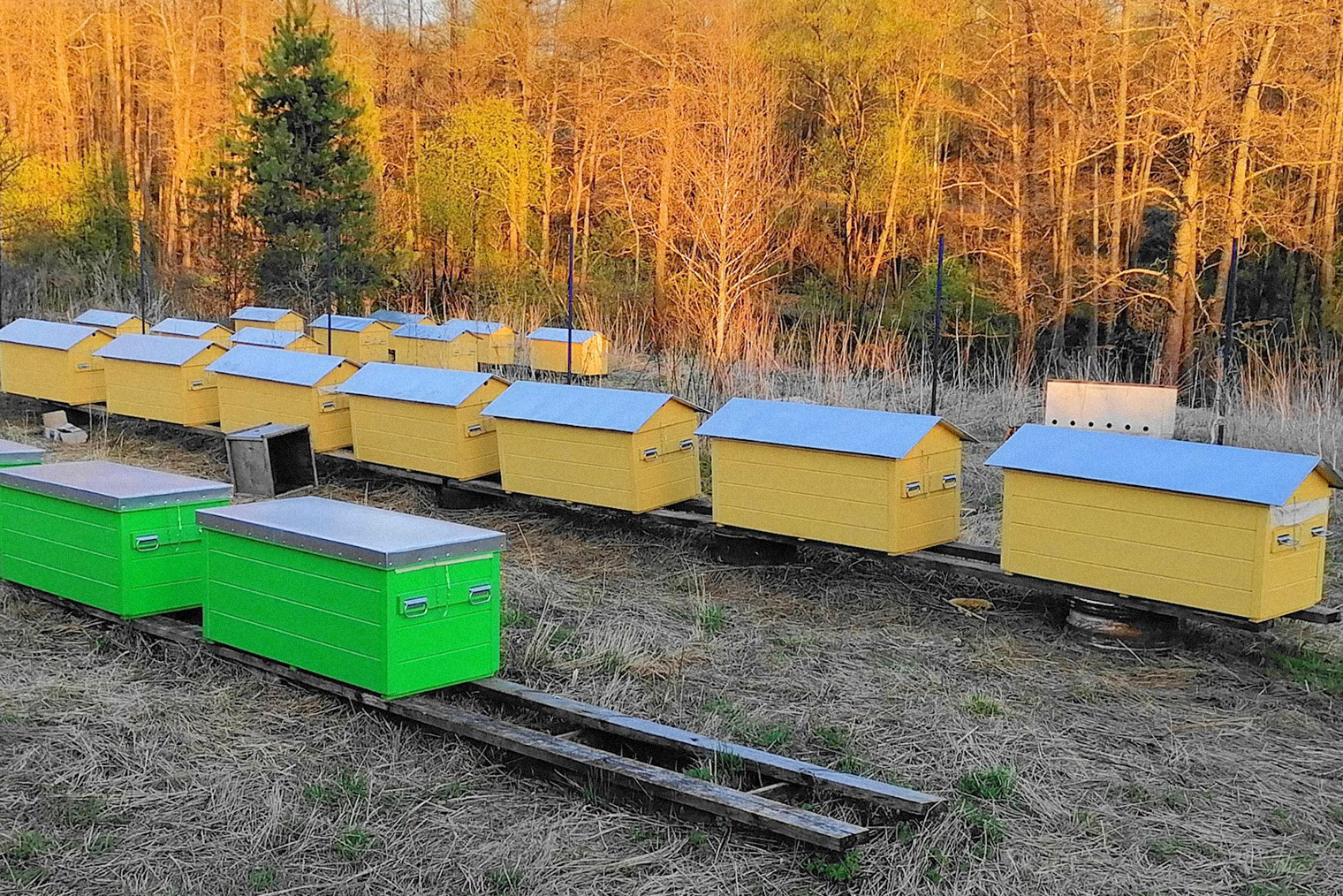 Сотрудничество начинается с момента запуска пасеки