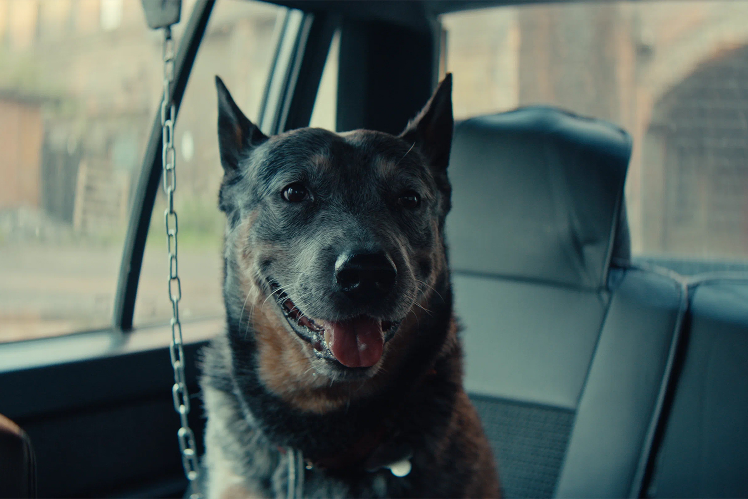 Говорящего пса — а позже гавкающего оперативника — сыграл Антон Лапенко