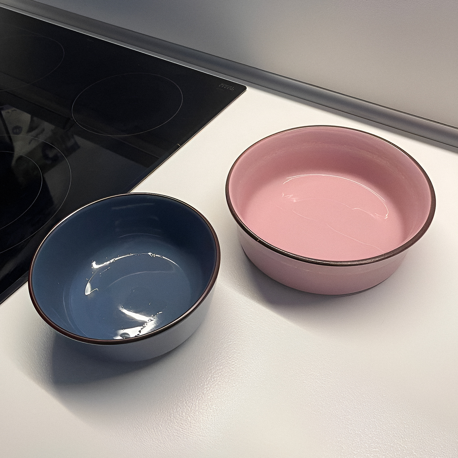 Это миски нашего пса