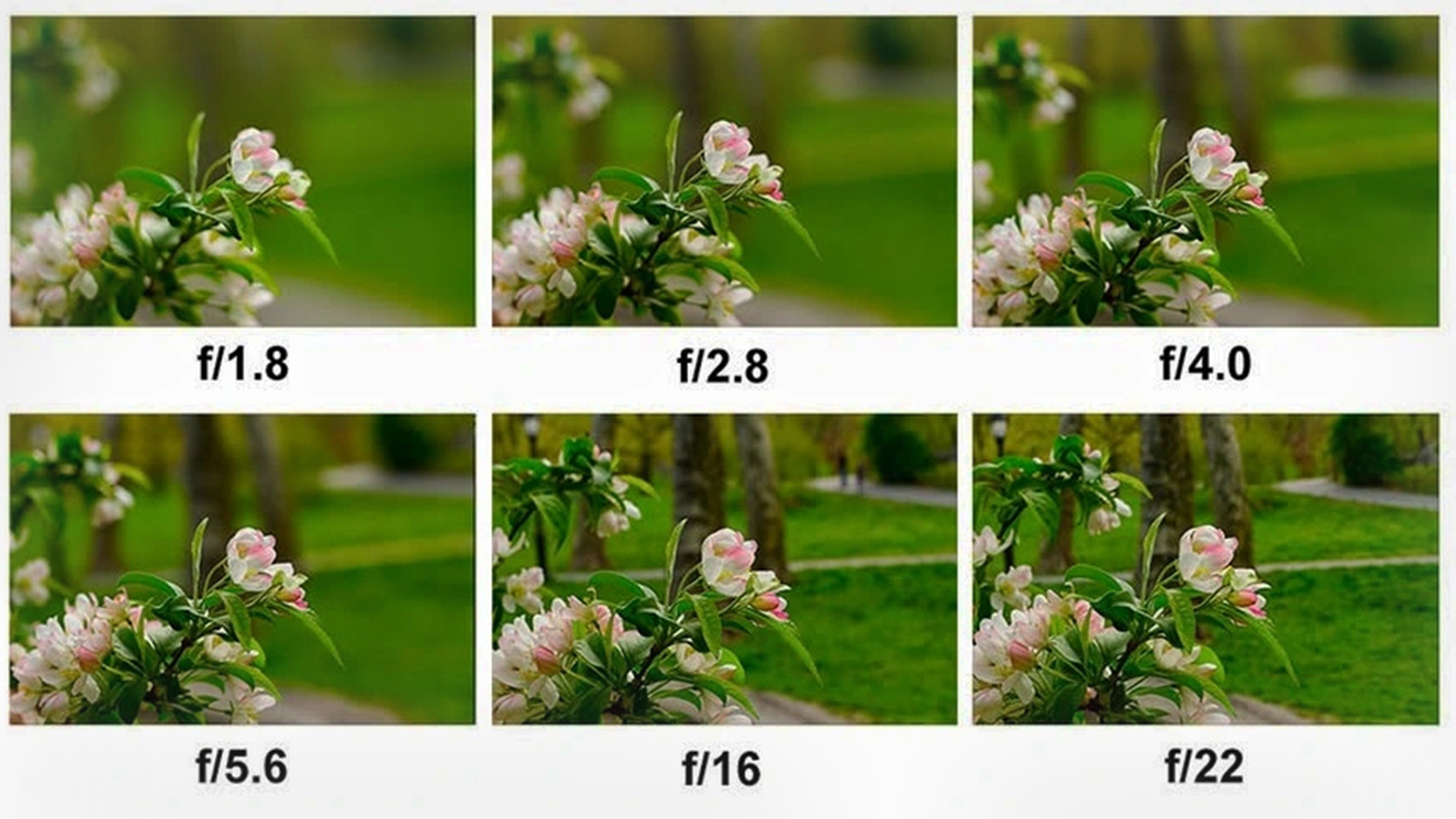 Примеры съемки одного и того же кадра с разным значением диафрагмы. Источник: julesphotographyweb.com