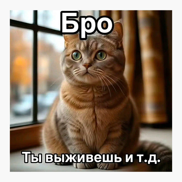 Этот мем часто появляется в ответ на комментарии с «бро, ты умрешь и т. д.»