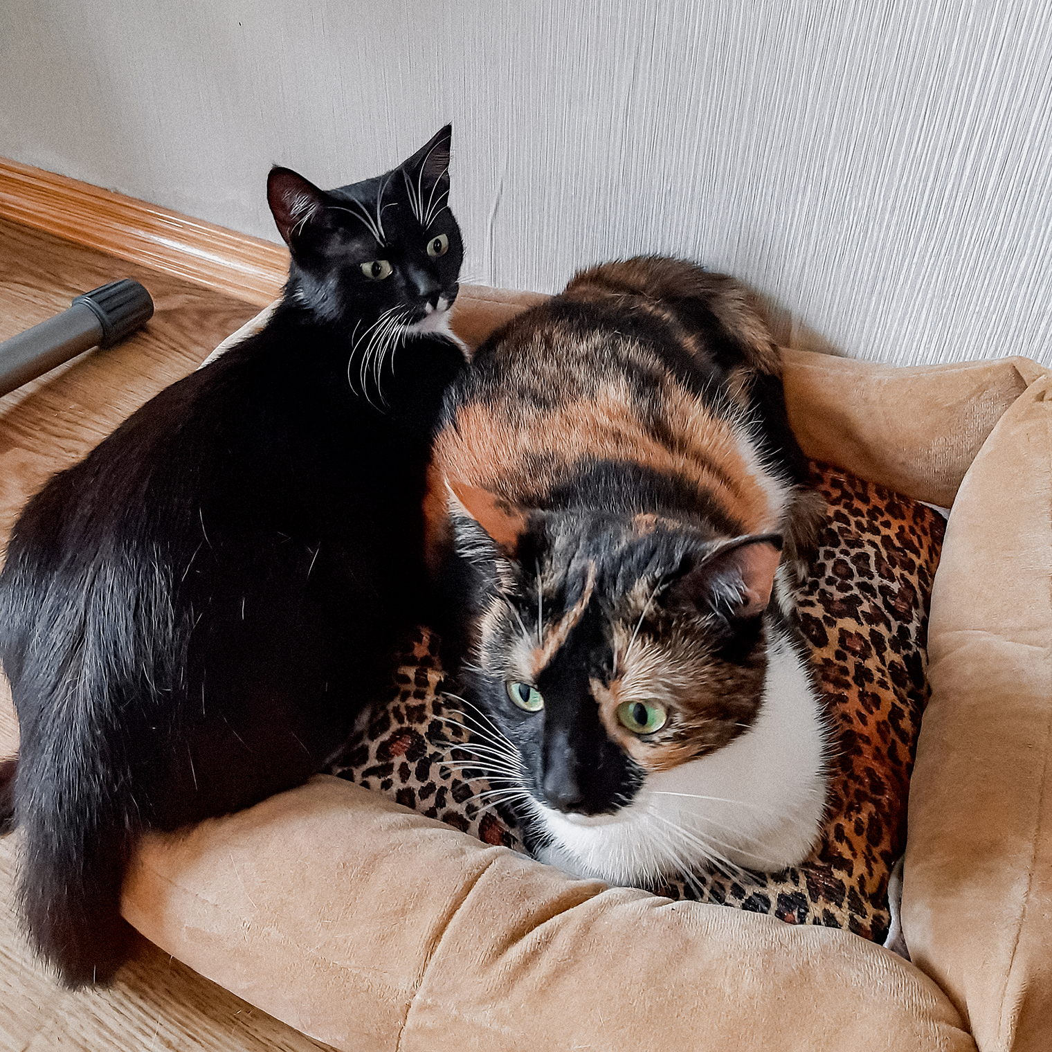 Маша и Анфиса проводят время вместе