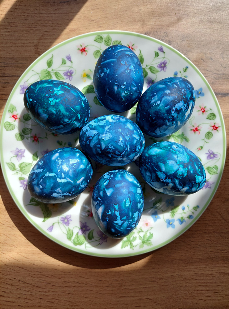 Пасхальные яйца, которые я покрасила фиолетовой кочанной капустой