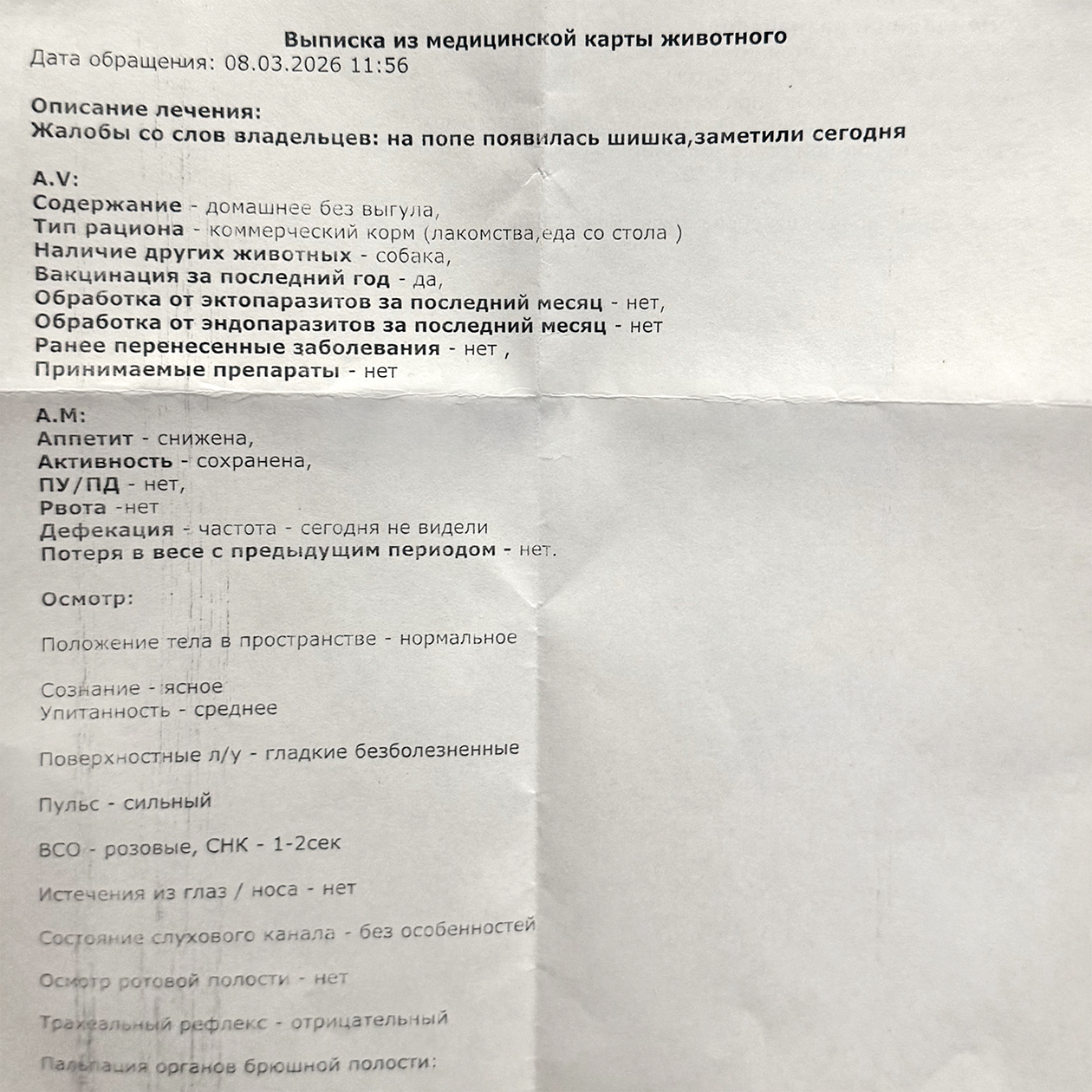 Выписка из медкарты