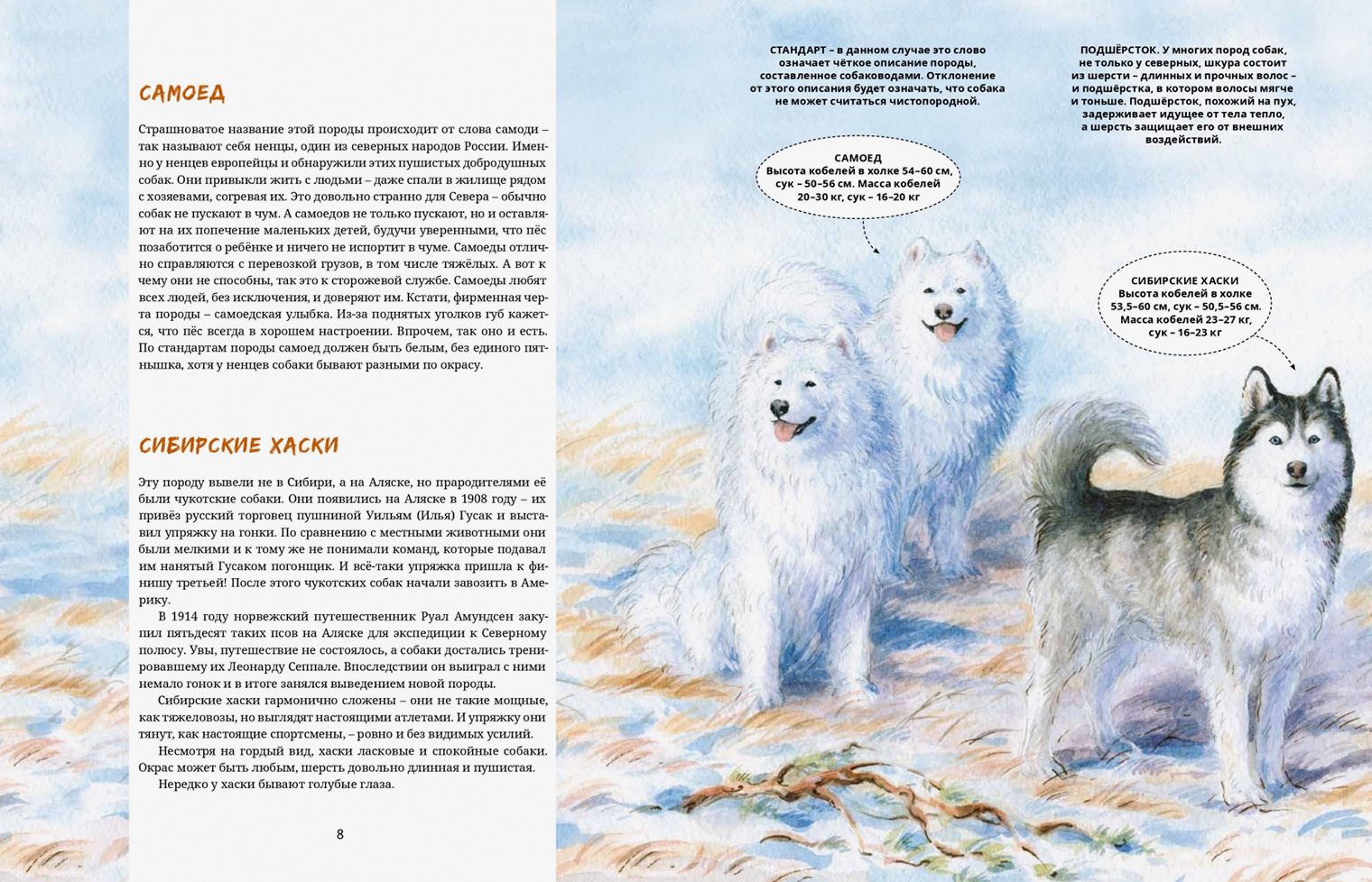 Издательство «Паулсен» специализируется на книгах, связанных с Арктикой и Антарктикой