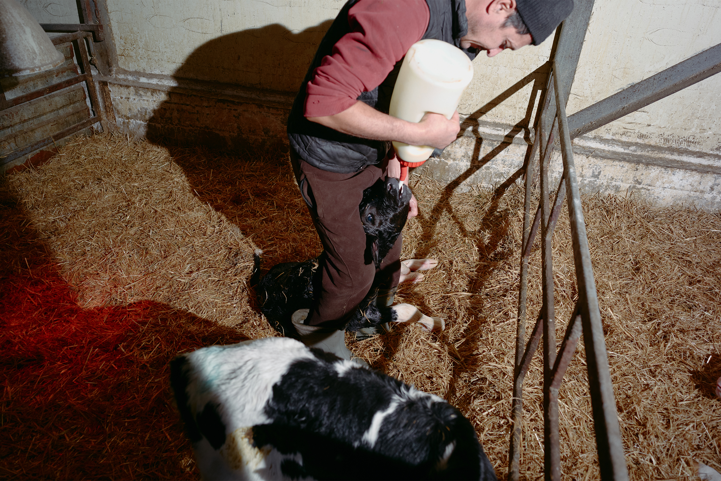 Идеальная среда для микробов