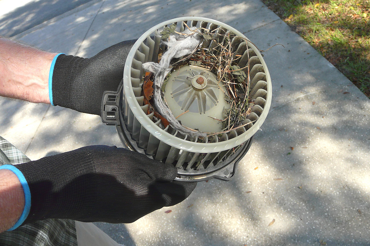 В редких случаях вентилятор может сломаться от грязи или посторонних предметов. Иногда его достаточно почистить. Фото: romarti / Shutterstock