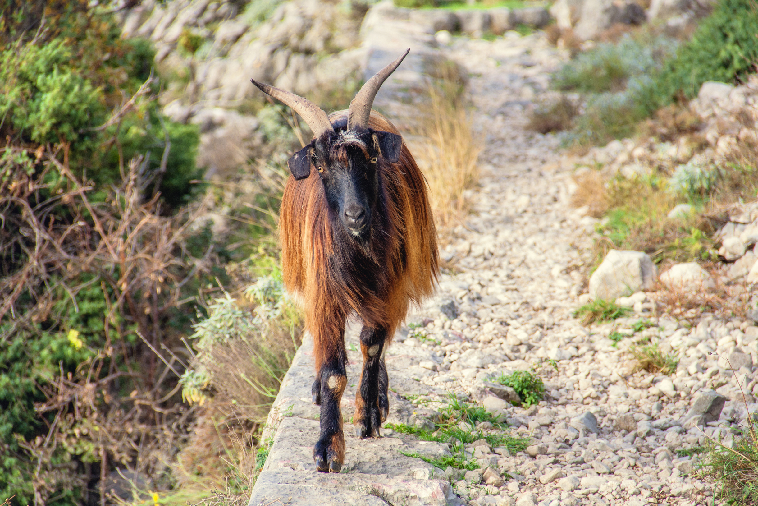 Чем не фотомодель?