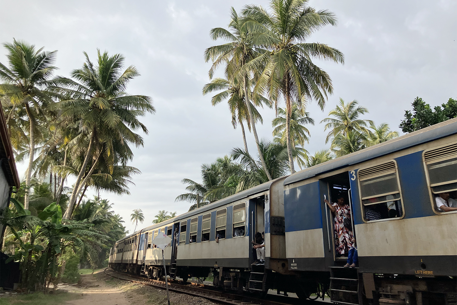 В Хиккадуве сложно найти места для прогулок. Вся туристическая инфраструктура находится вдоль трассы без тротуаров. Ради разнообразия мы ходили гулять в частном секторе и у железной дороги