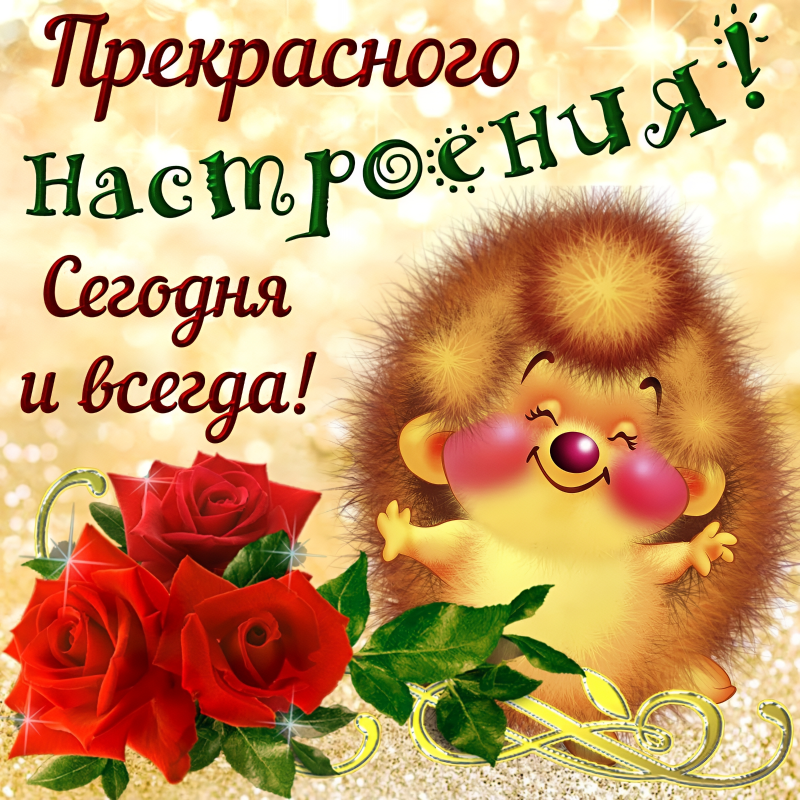 Ежик