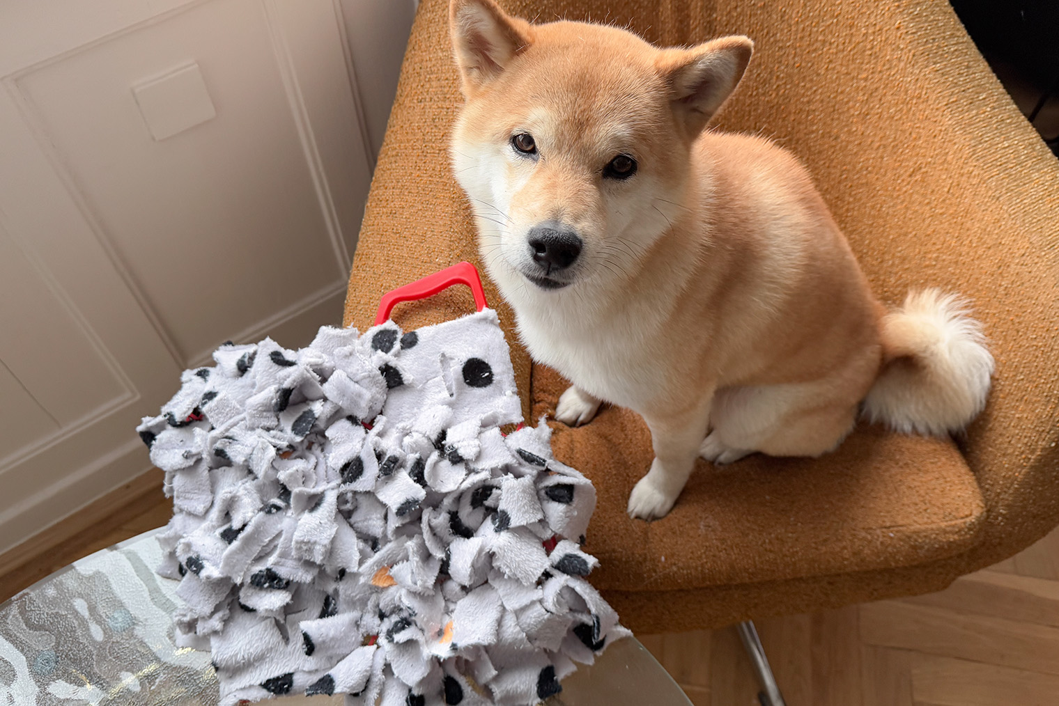 Кумо проверяет качество работы