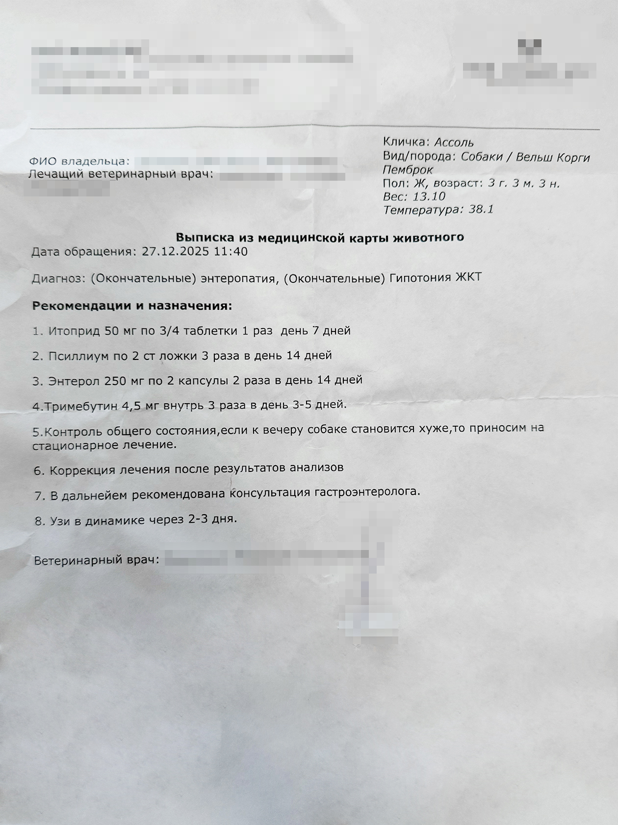 Спустя столько времени и обследований я знаю диагноз Ассоль и как с ним справляться