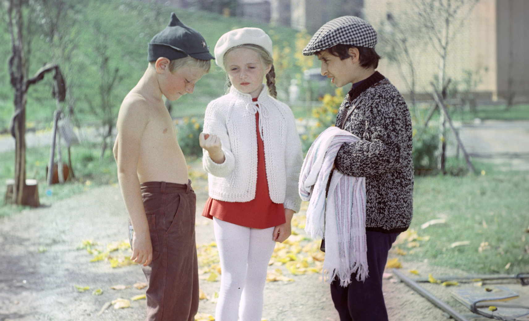 Внимание, черепаха!