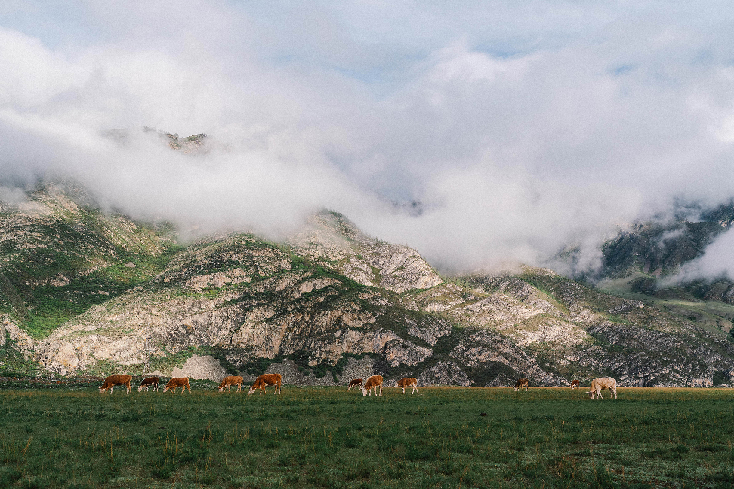 У Алтая есть и особый культурный слой: петроглифы, курганы, буддийские святые места. Это часть старого Шелкового пути
