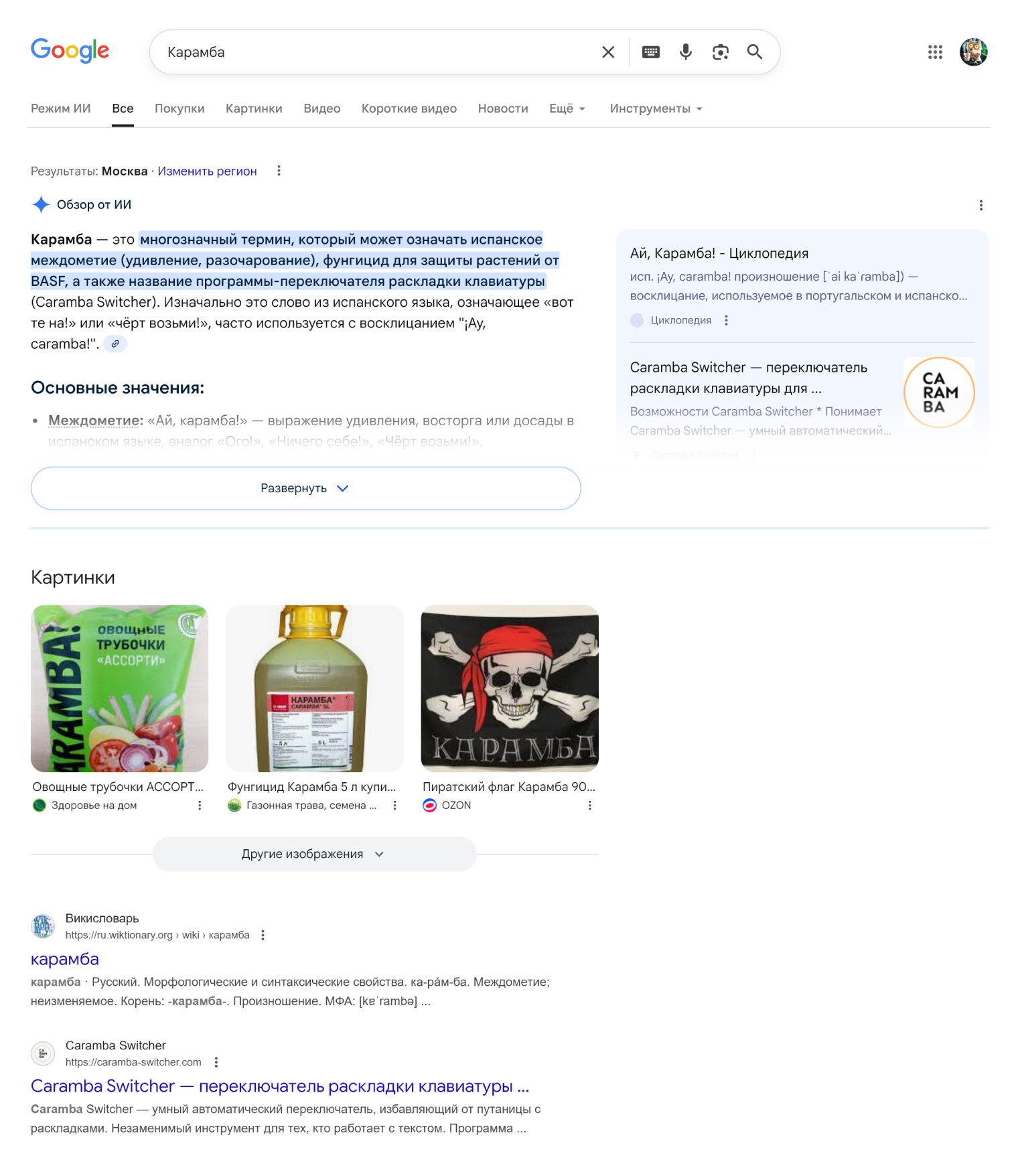 Обзор от ИИ, или AI Overviews