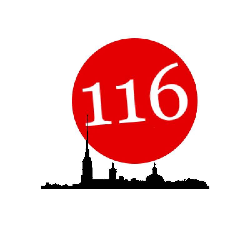 Гимназия № 116