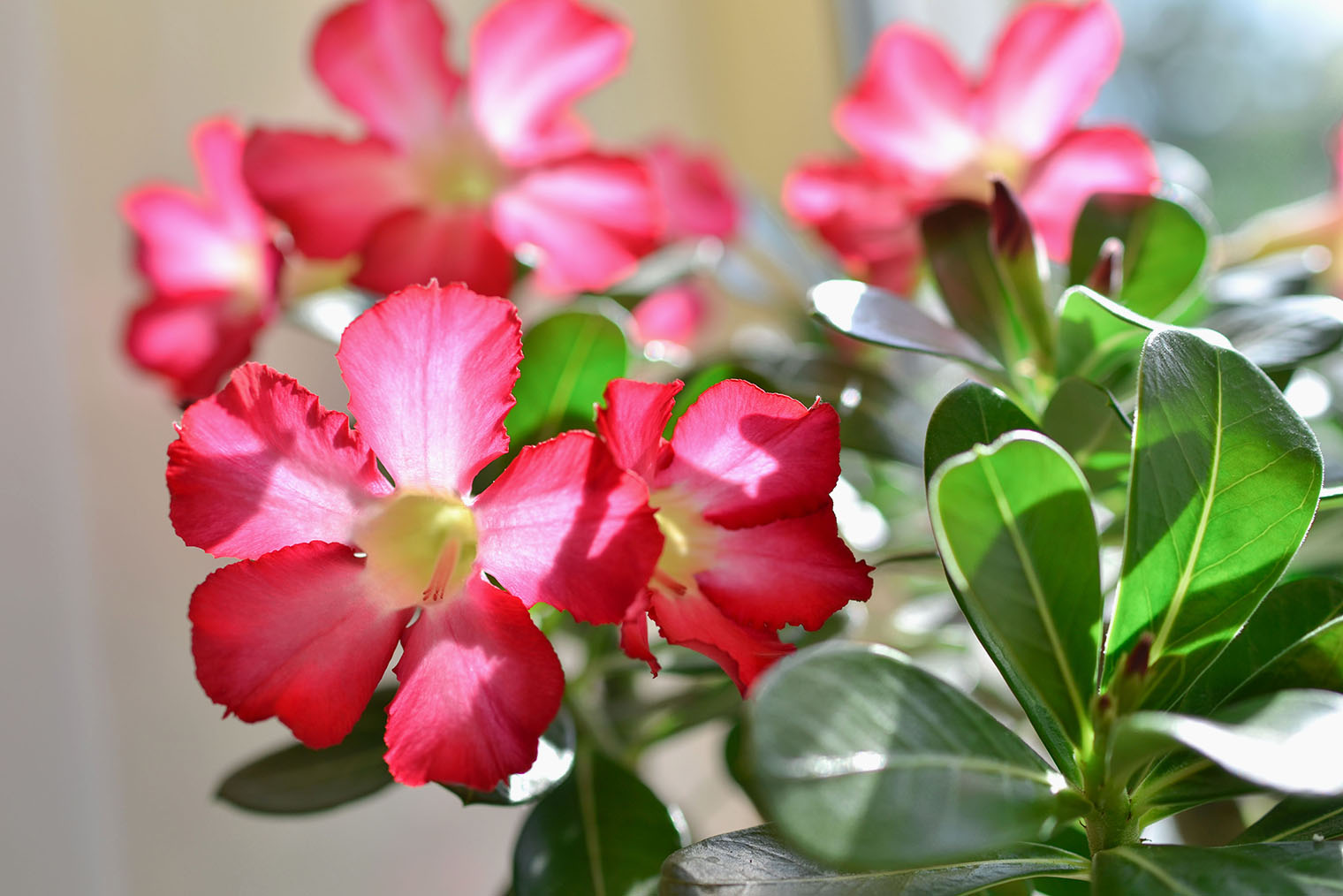 Фотография: Zayakina Yuliya / Shutterstock / FOTODOM