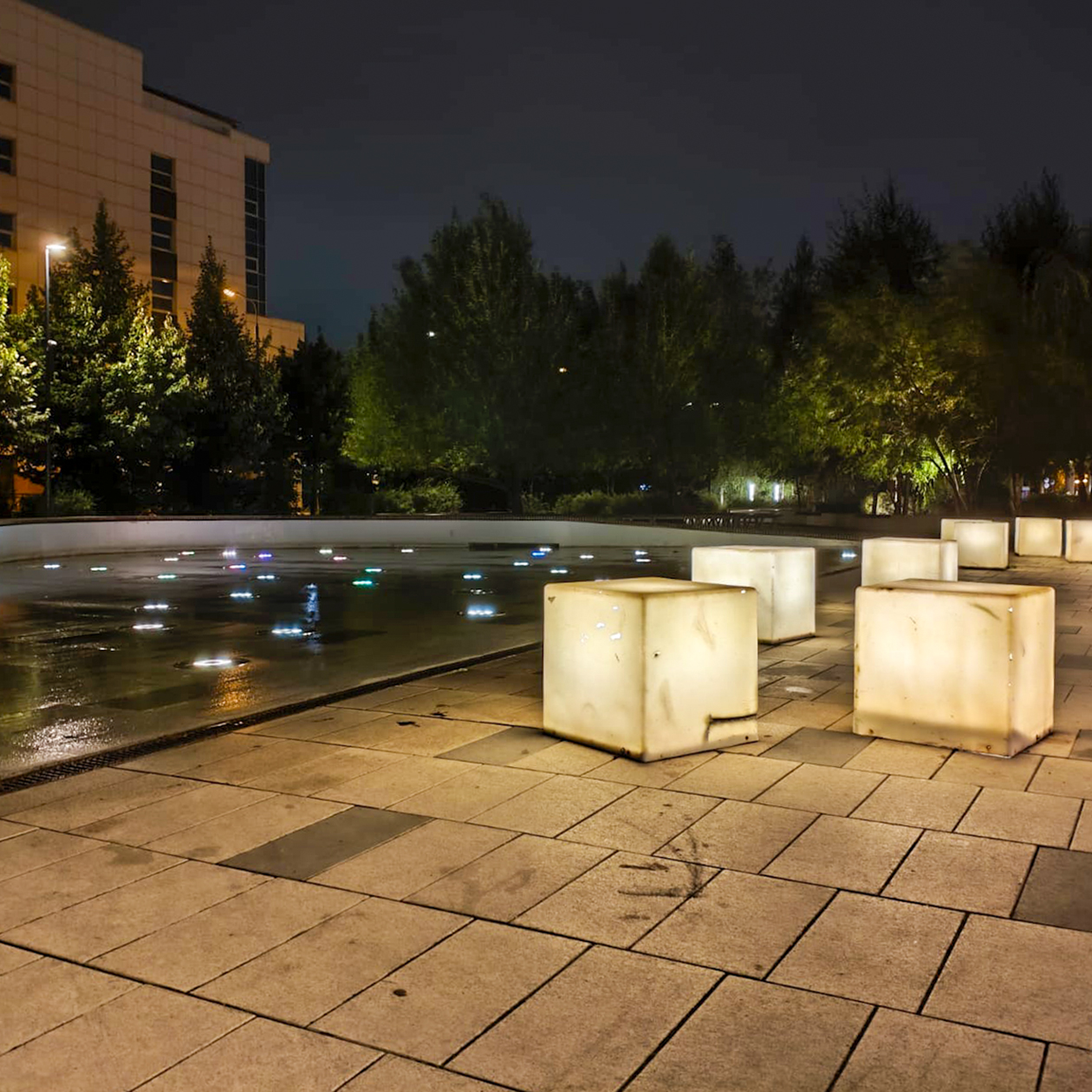 Вечерняя прогулка