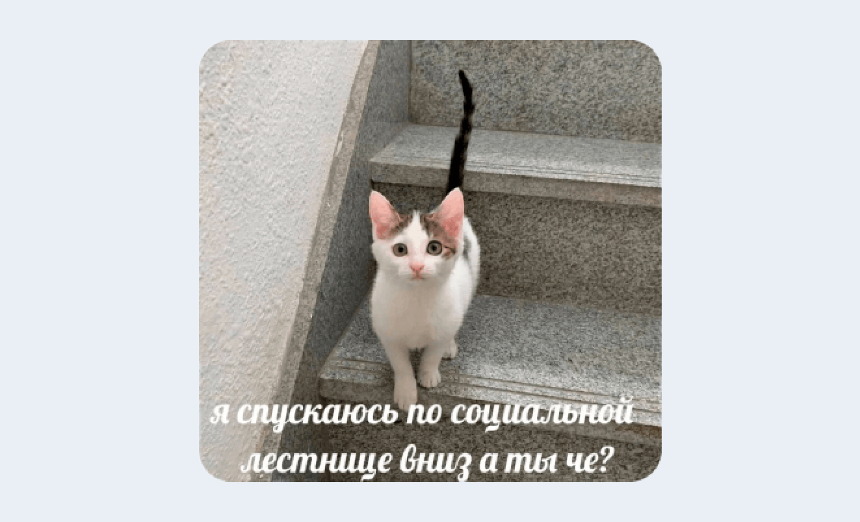 ментальный хаос