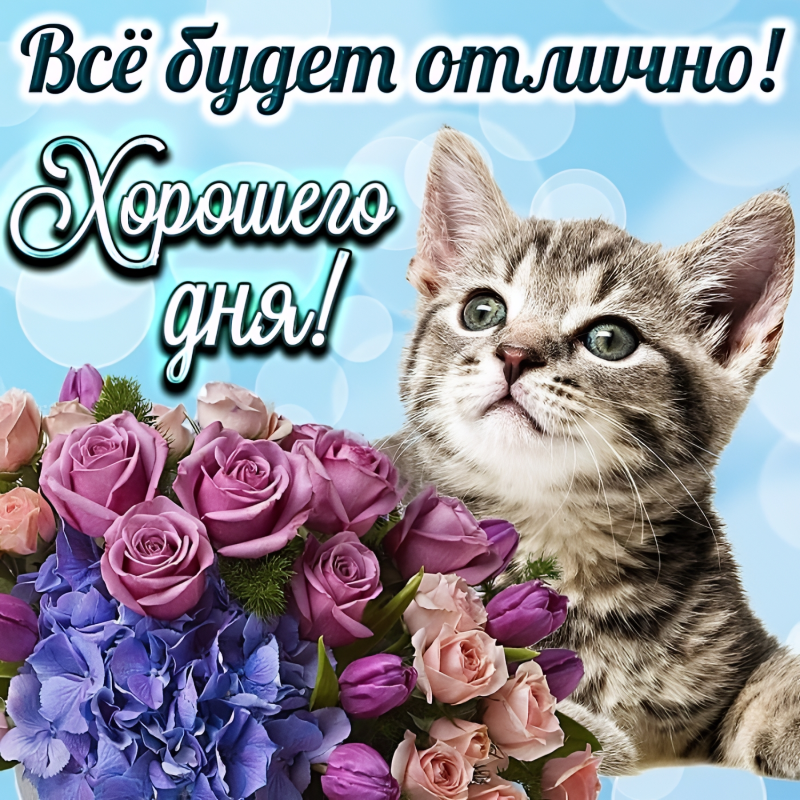 Кот с букетом