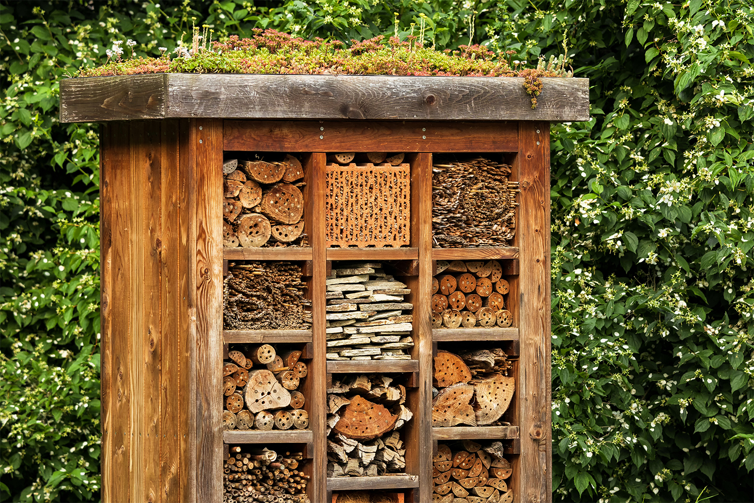 Домики для привлечения насекомых уже несколько лет присутствуют на главной садоводческой выставке в Челси. Их можно найти на маркетплейсах или сделать самостоятельно, заполнив ячейки разными материалами: шишками, корой, черепками. © Ondrej_Novotny_92 / Shutterstock / FOTODOM