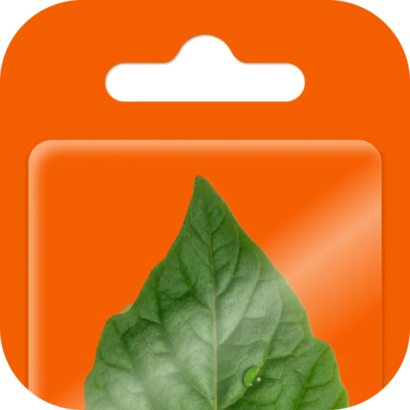 А что из этого приживется у вас?