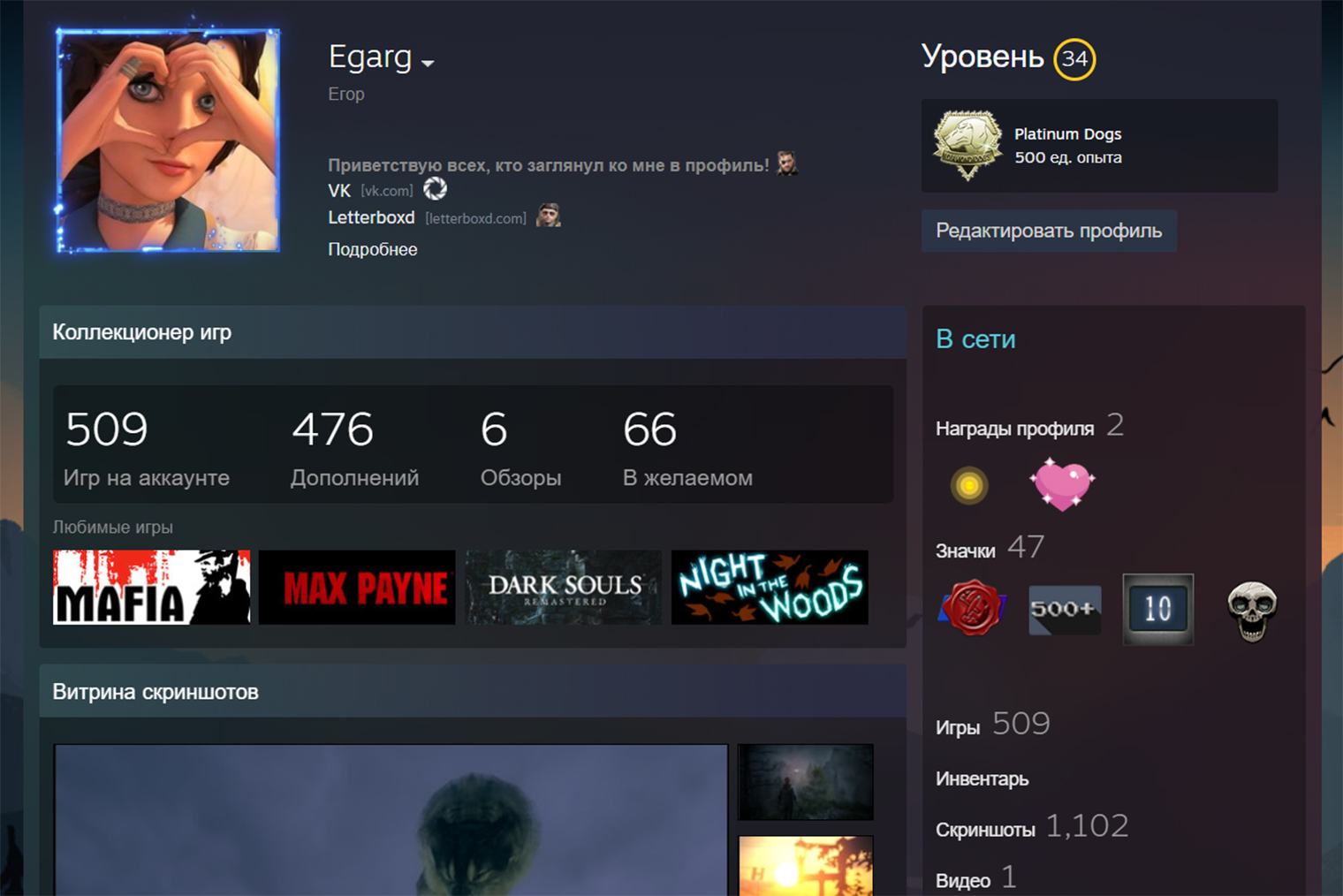 Steam показывает полученные значки, уровень профиля и количество игр. © Steam