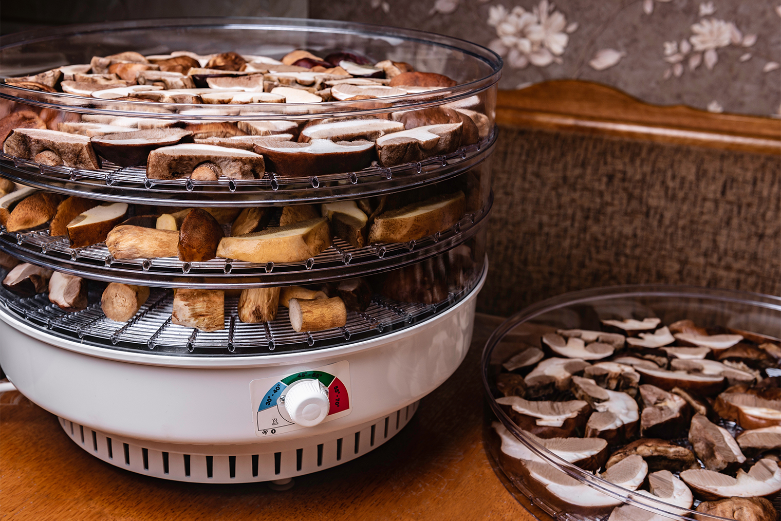 Бытовая сушилка состоит из нагревательного элемента и нескольких «этажей» с дырочками — они нужны, чтобы воздух равномерно циркулировал вокруг грибов. В дегидраторе можно также сушить овощи и фрукты. © Natallia Ploskaya / Shutterstock / FOTODOM