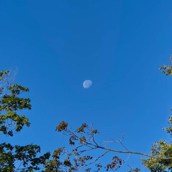 Андрей Кузнецов 