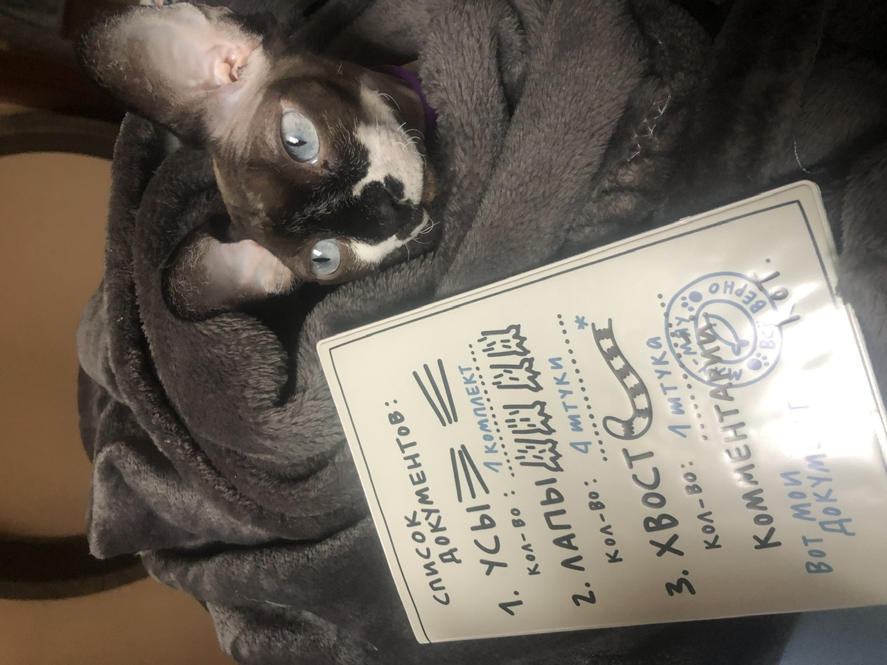 Обложка паспорта Лило