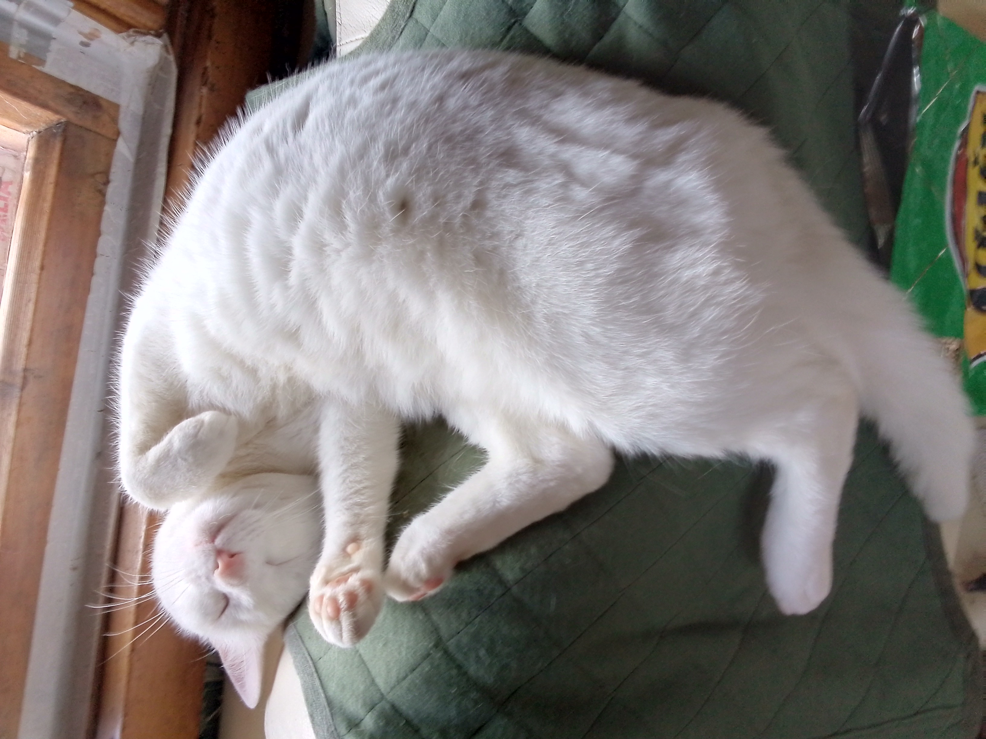 Отдыхать любим 😉