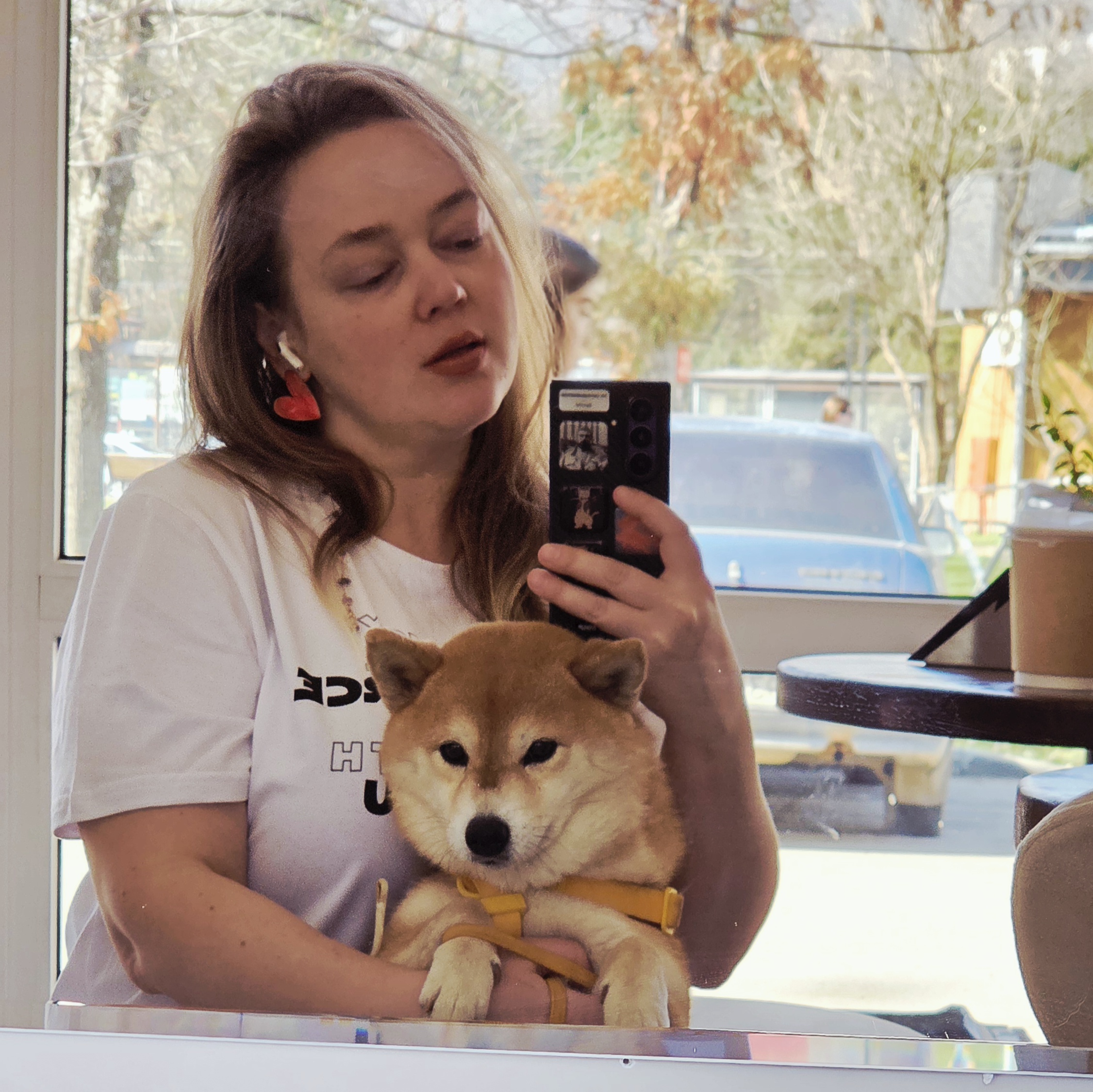 Наша собака для нас — любовь, для негуманного грумера — клиент на конвейере