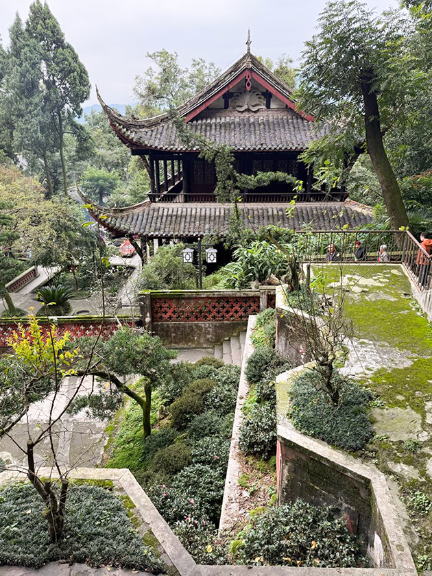 Декорации беседы о лапше и чае