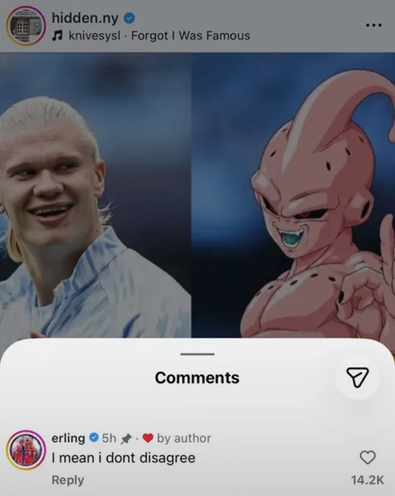 Комментарий Холанда