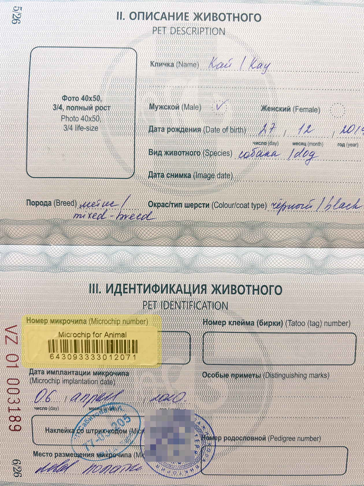 Так выглядит информация о чипировании в ветпаспорте животного. Еще ветеринар выдаст сертификат о чипировании и запасные наклейки-штрихкоды на случай, если у питомца будет новый паспорт