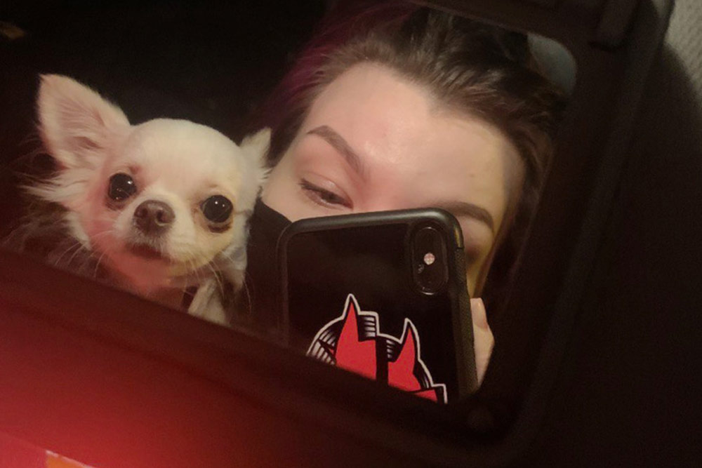 Гелла не любит других собак, но любит людей: прохожие, таксисты и курьеры автоматически становятся ее лучшими друзьями