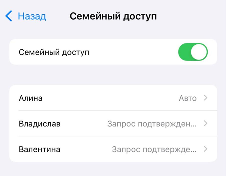 Можно настроить как автоматическое подключение, так и по запросу