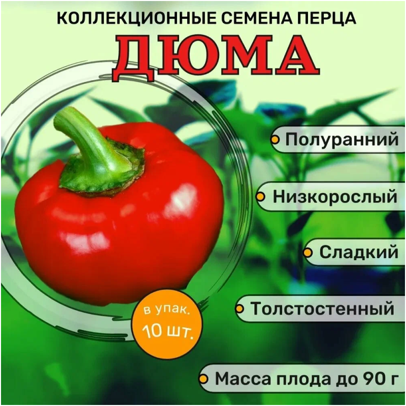 Дюма