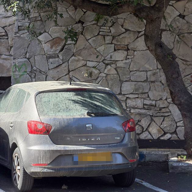 Такой слой пыли на припаркованных машинах