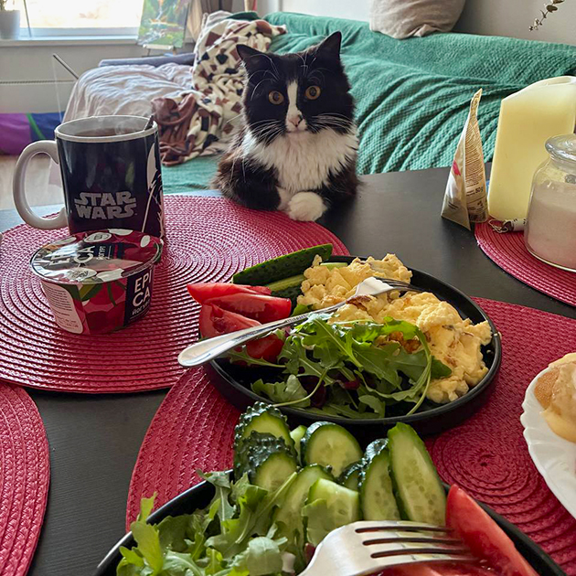 Ем. Луна решила, что это ее второй завтрак