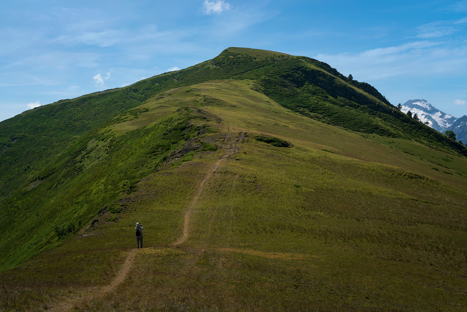 Летом путь проходит по разнотравью альпийских лугов. © Ula Ulachka / Shutterstock / FOTODOM
