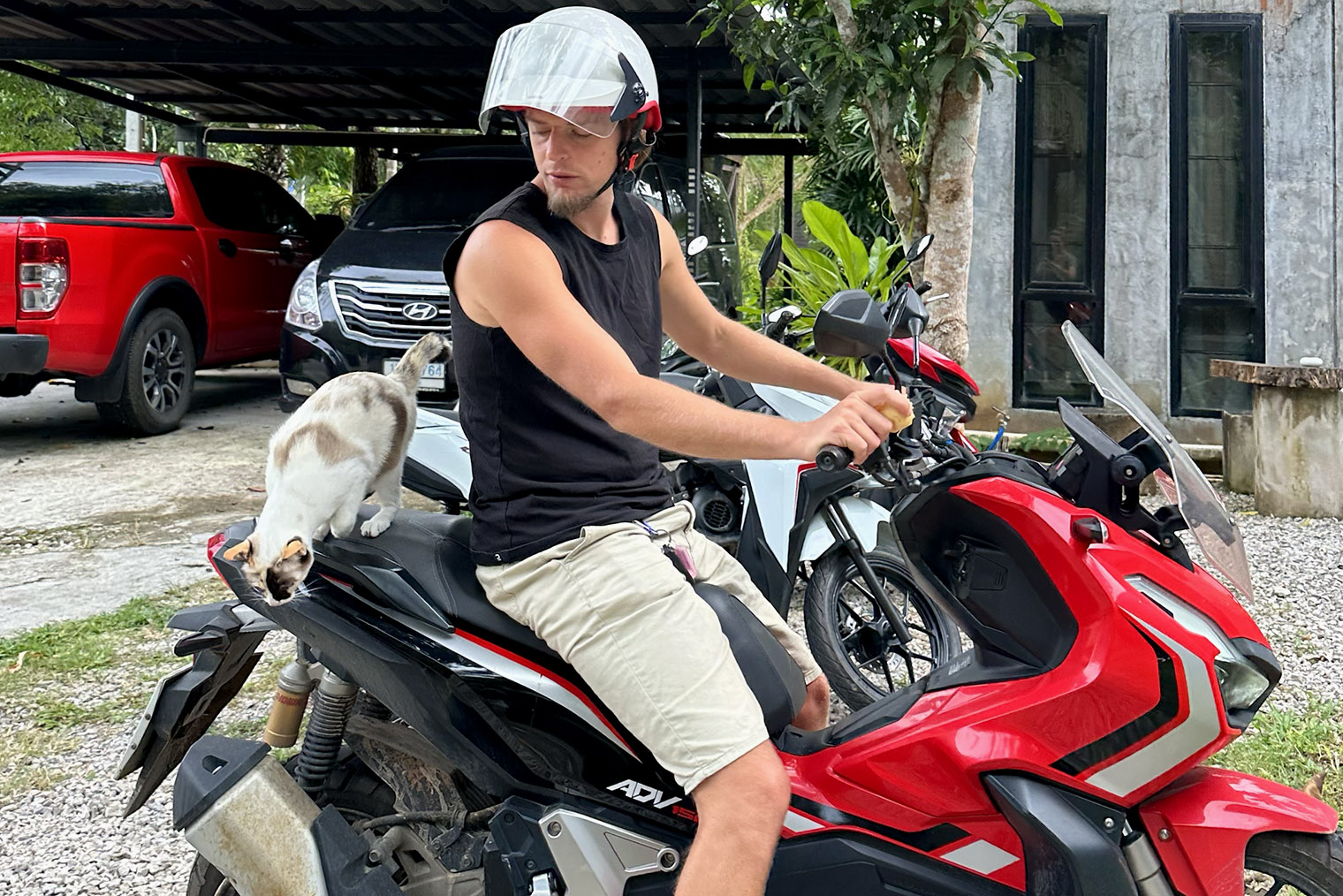 Мой байк Honda ADV 160 в одной из зимовок