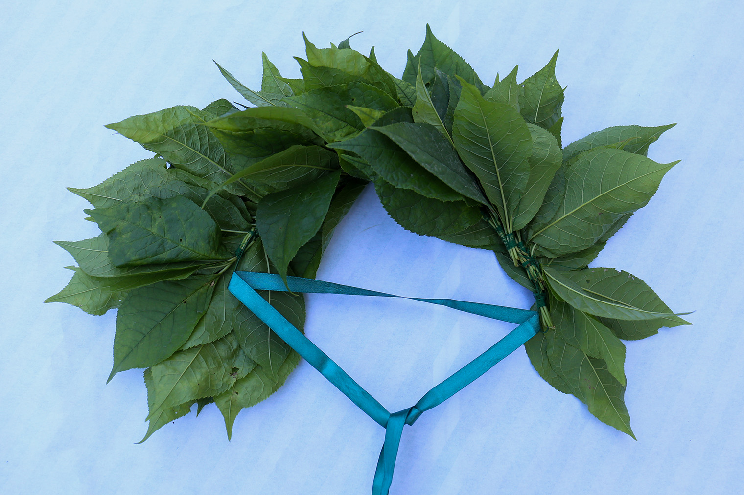 И нетуго завязываю ленту, чтобы она держалась на голове и можно было ее регулировать. Когда наденете венок, сзади останутся красивые хвостики