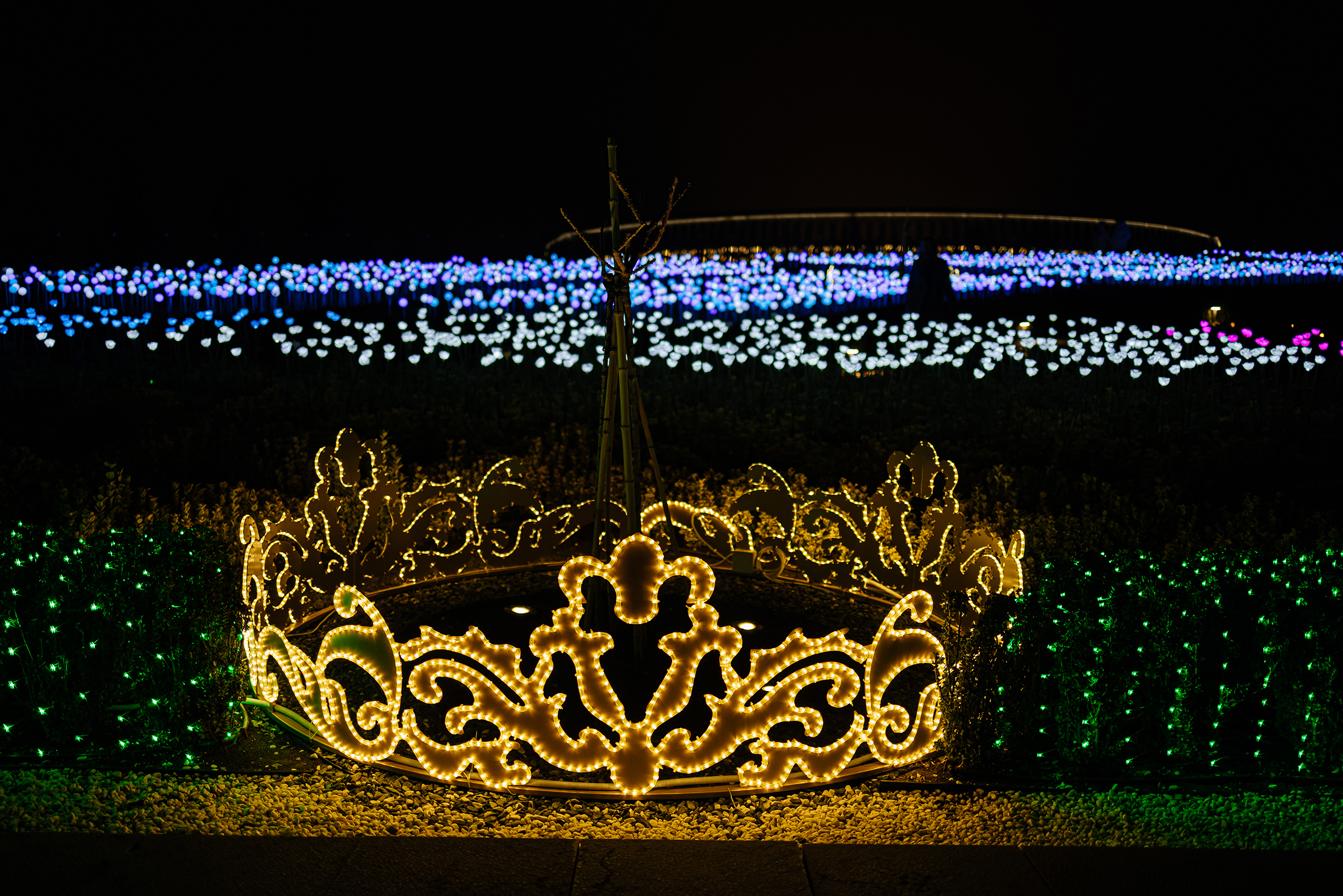 Это не просто новогоднее украшение. Так ограждают саженцы новых растений, чтобы никто им не навредил