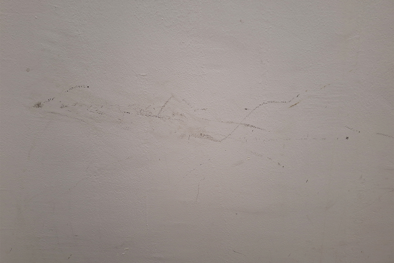 Стена в подъезде около моей квартиры. У предыдущих хозяев было трое маленьких детей