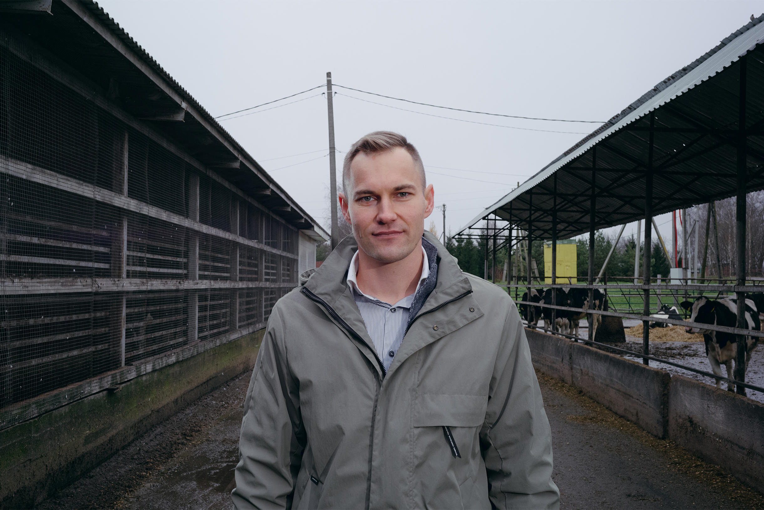 На ферме уже не хватает мест для новых коров, пора строить дополнительные помещения